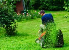 Kwikfynd Lawn Mowing
farrer